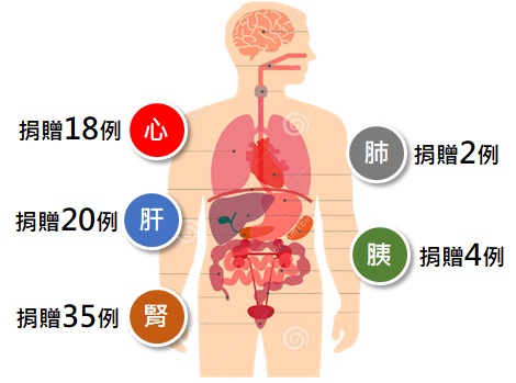 提升器官勸募成效