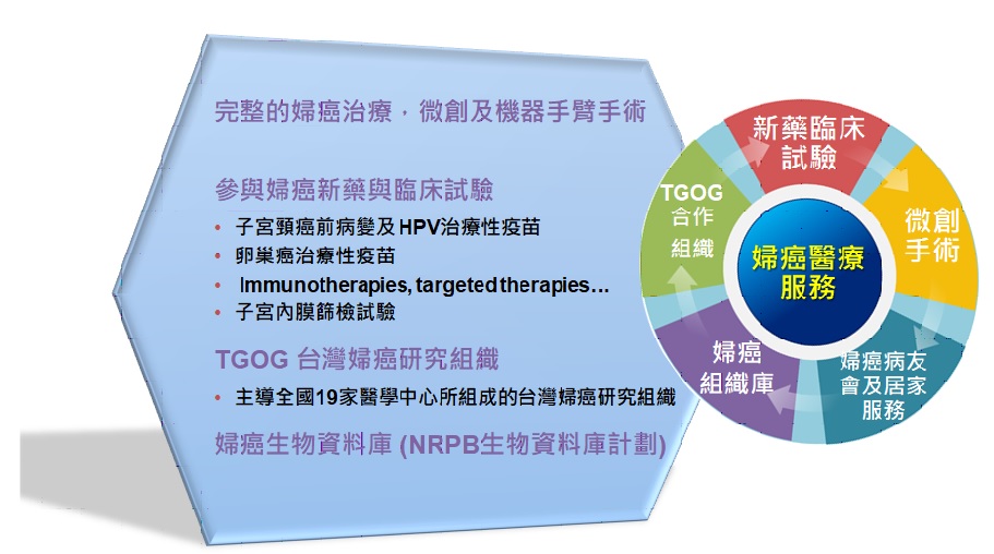 婦癌病人照護體系與研究能量健全說明圖片